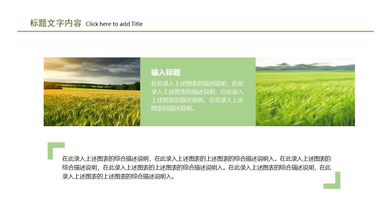 农业 (31).pptx